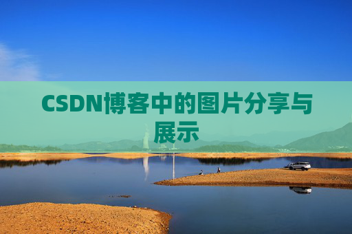 CSDN博客中的图片分享与展示